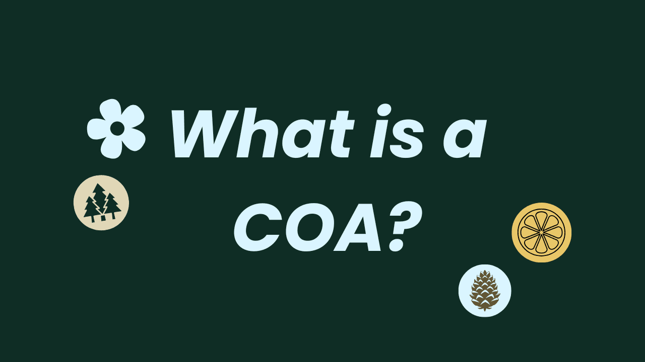How to Read a Cannabis COA: A Minnesota Lab Results Guide