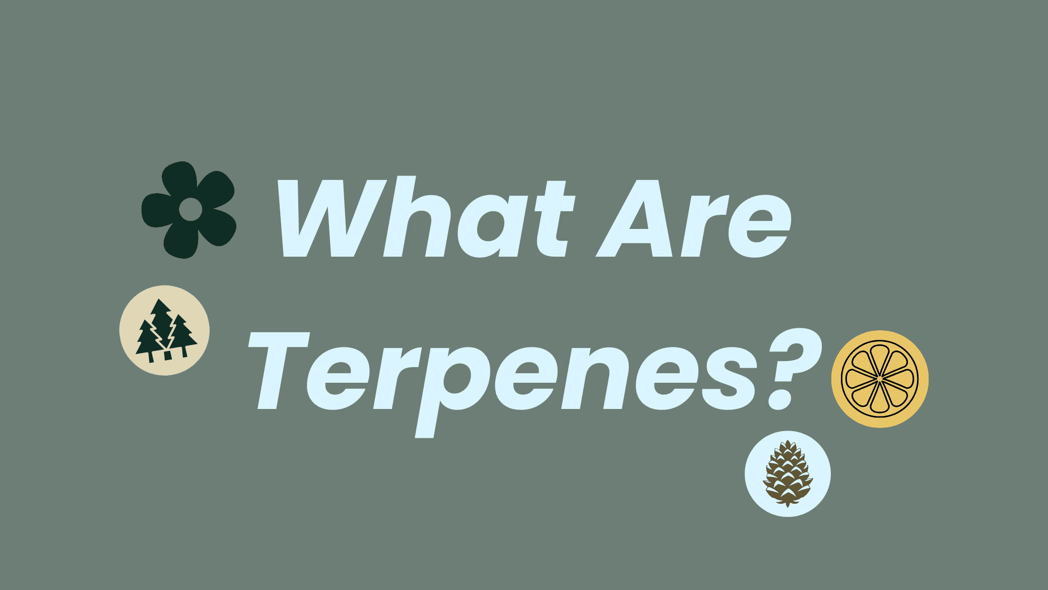 terpenes and images of different smells